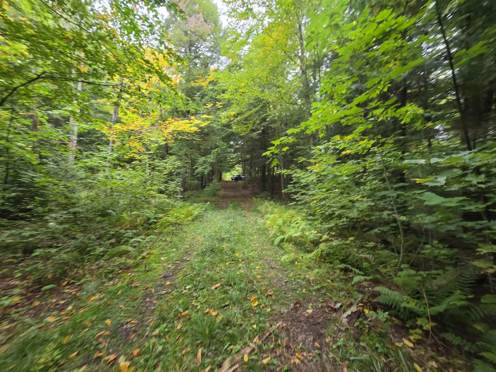 Unit for sale at Lot#7 Woodland, Jay, VT 05859