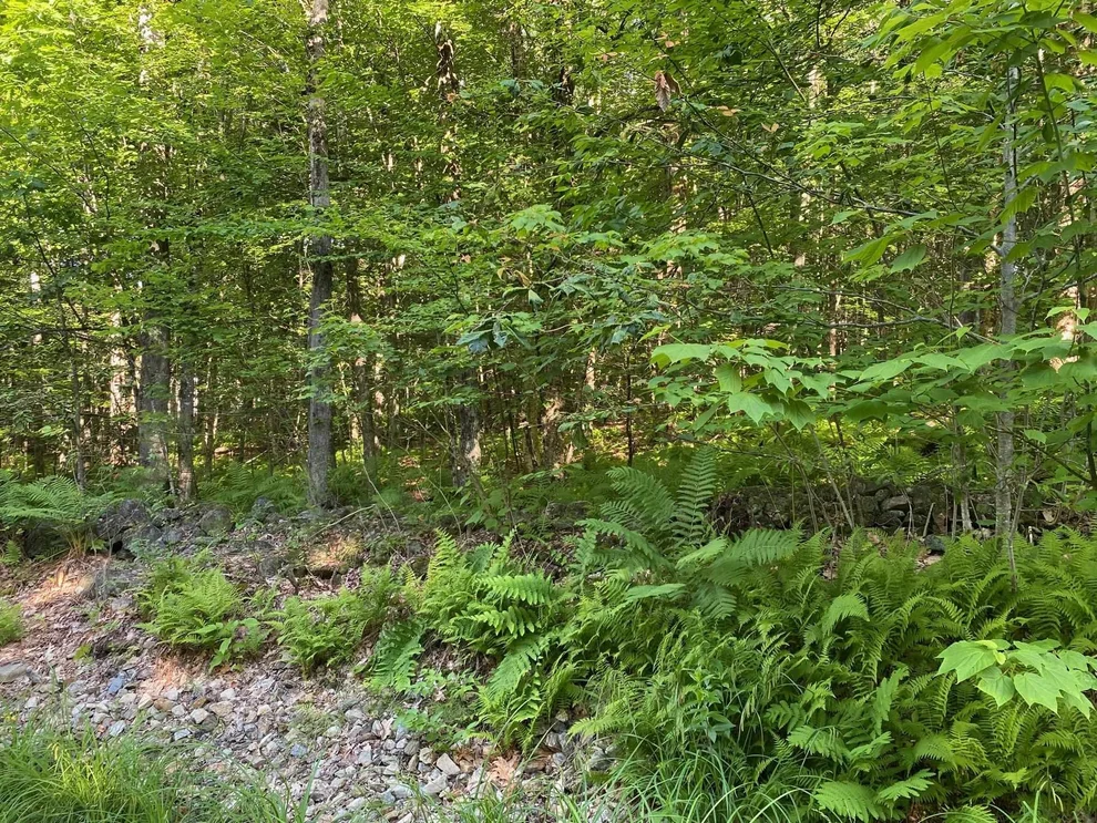 Unit for sale at 164 Lot 18-3 Mason, Milton, NH 03851
