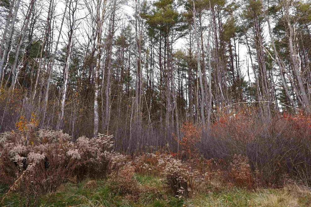 Unit for sale at 0 US Route 5 South, Norwich, VT 05055