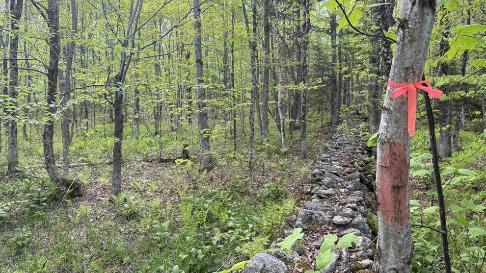 Unit for sale at 00 Potter, Lowell, VT 05847