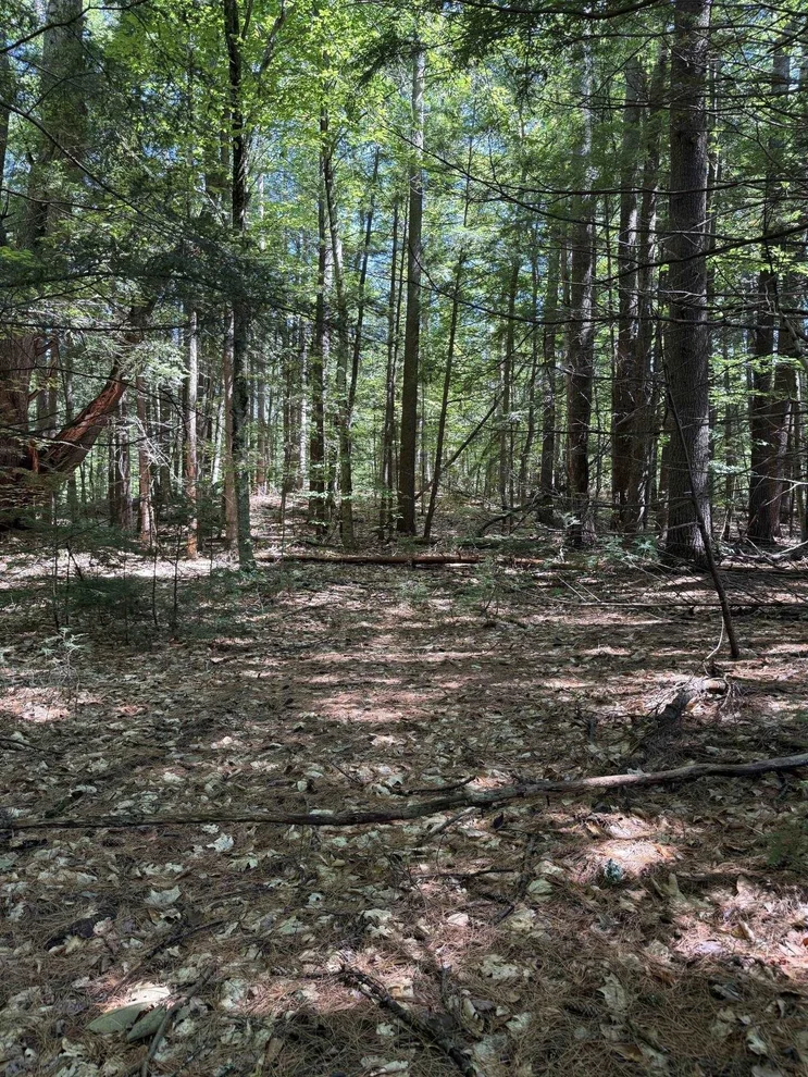 Unit for sale at 0000 Route 175, Holderness, NH 03245