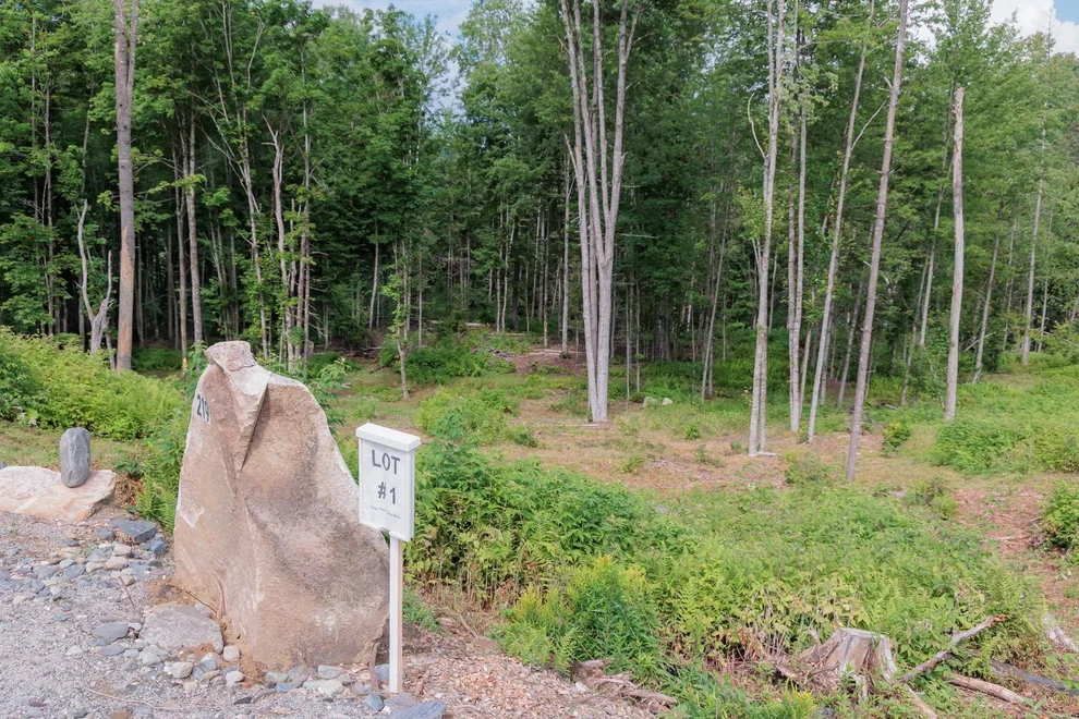 Unit for sale at 219/249 Weber Brook, Craftsbury, VT 05826