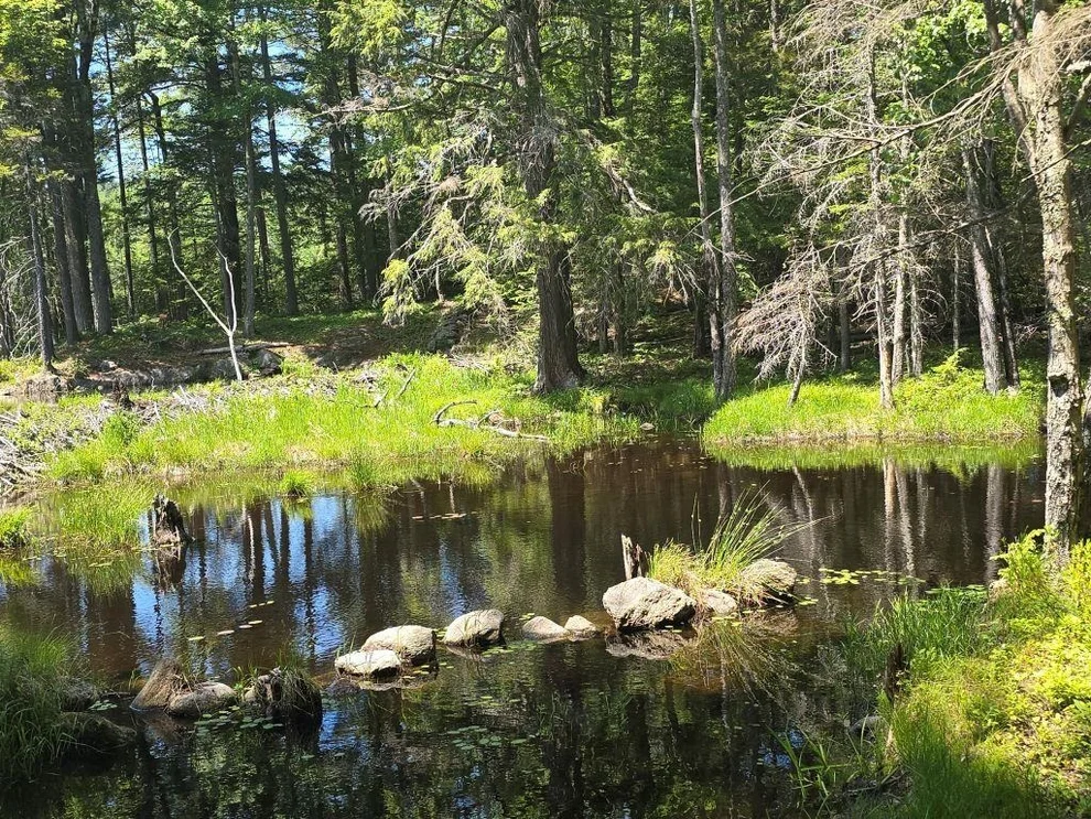 Unit for sale at Baine, Alstead, NH 03602