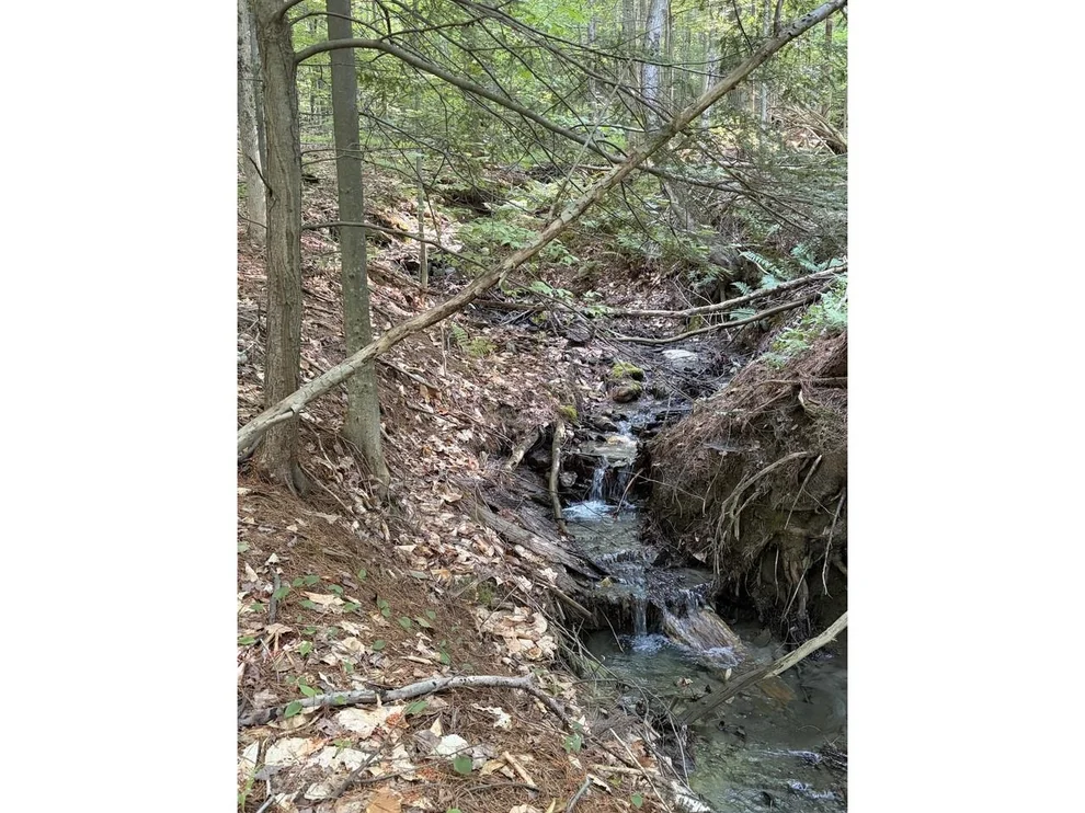 Unit for sale at 0 Old Carriage, Fayston, VT 05673