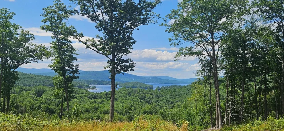 Unit for sale at 207 Overlook, Bristol, NH 03222