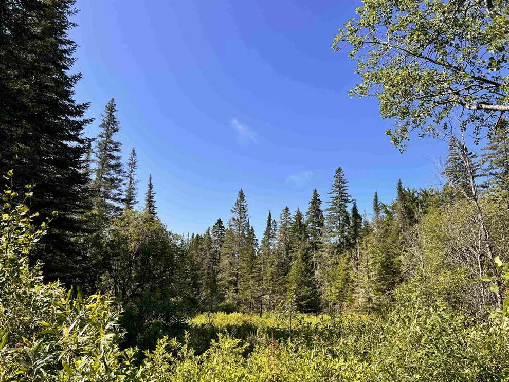 Unit for sale at 00 Noyes, Stewartstown, NH 03597