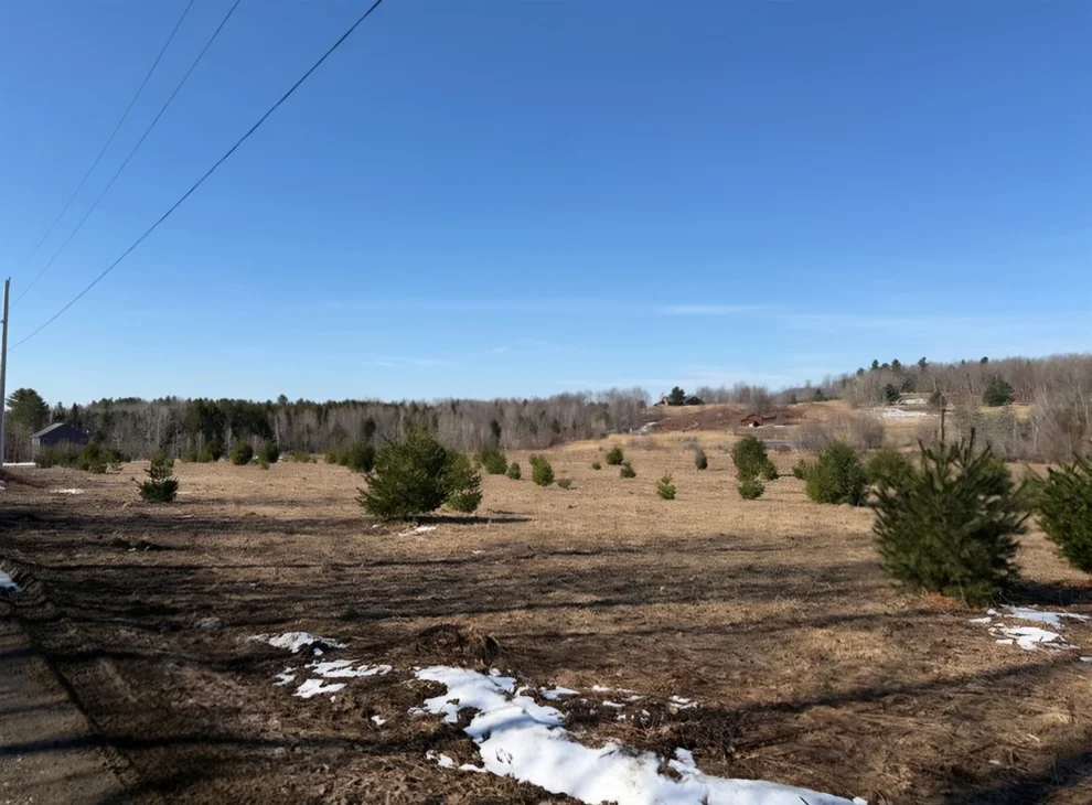 Unit for sale at 0 Fox Meadow, Wolcott, VT 05680
