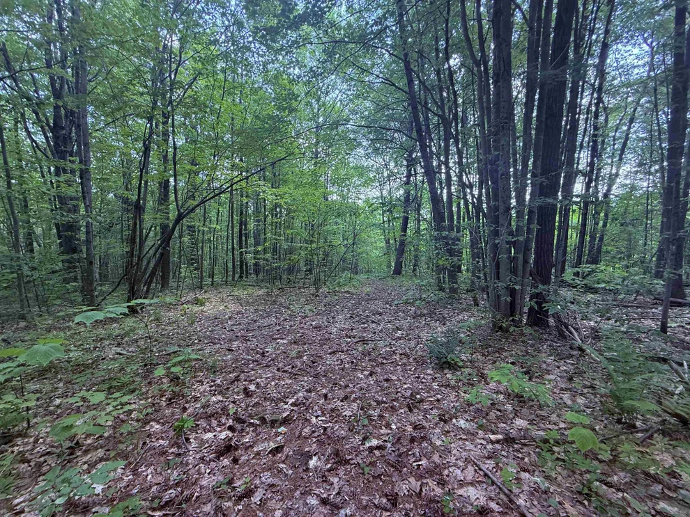 Unit for sale at 251 Phillips Hill, Halifax, VT 05358