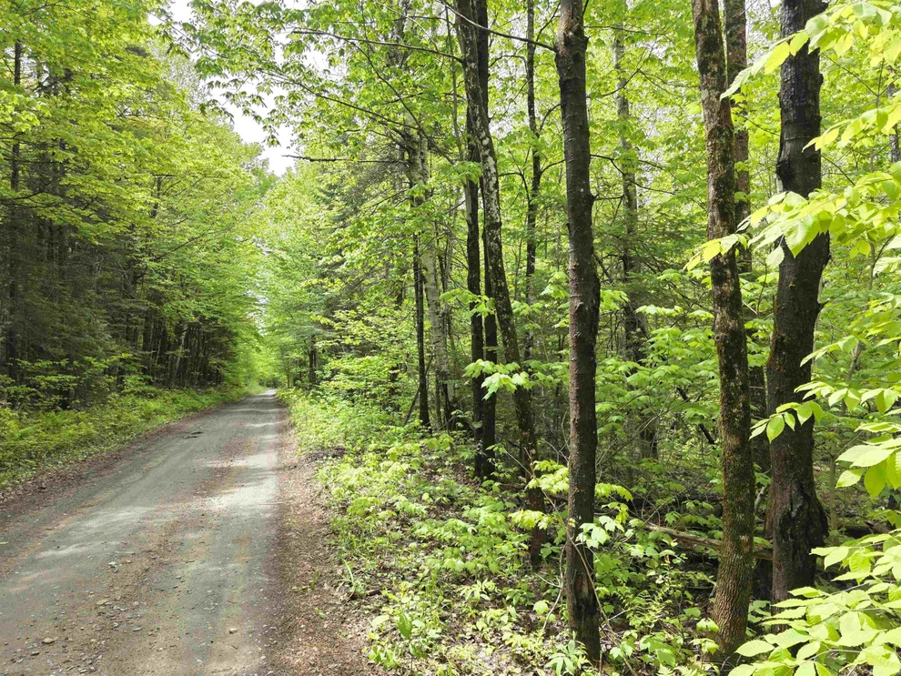 Unit for sale at 1500 Allard Hill, Wheelock, VT 05851