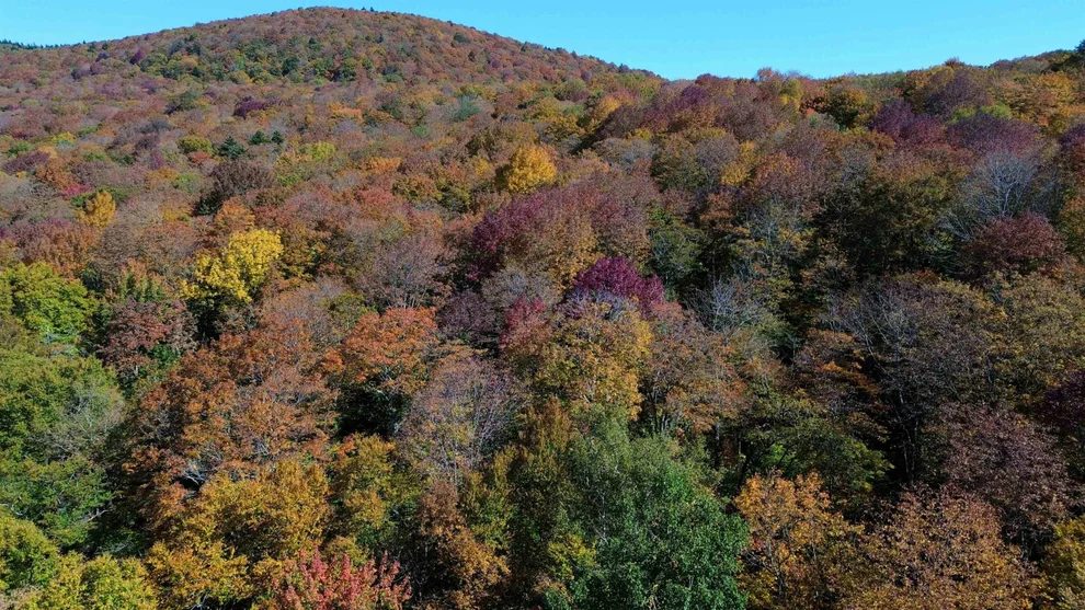 Unit for sale at 1052 CCC, Shrewsbury, VT 05738