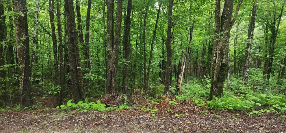 Unit for sale at 142 Fox Hill, Stoddard, NH 03456