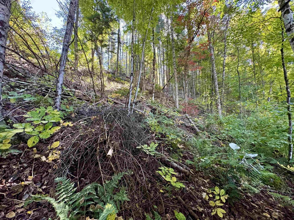 Unit for sale at 24 Marsh, Columbia, NH 03590