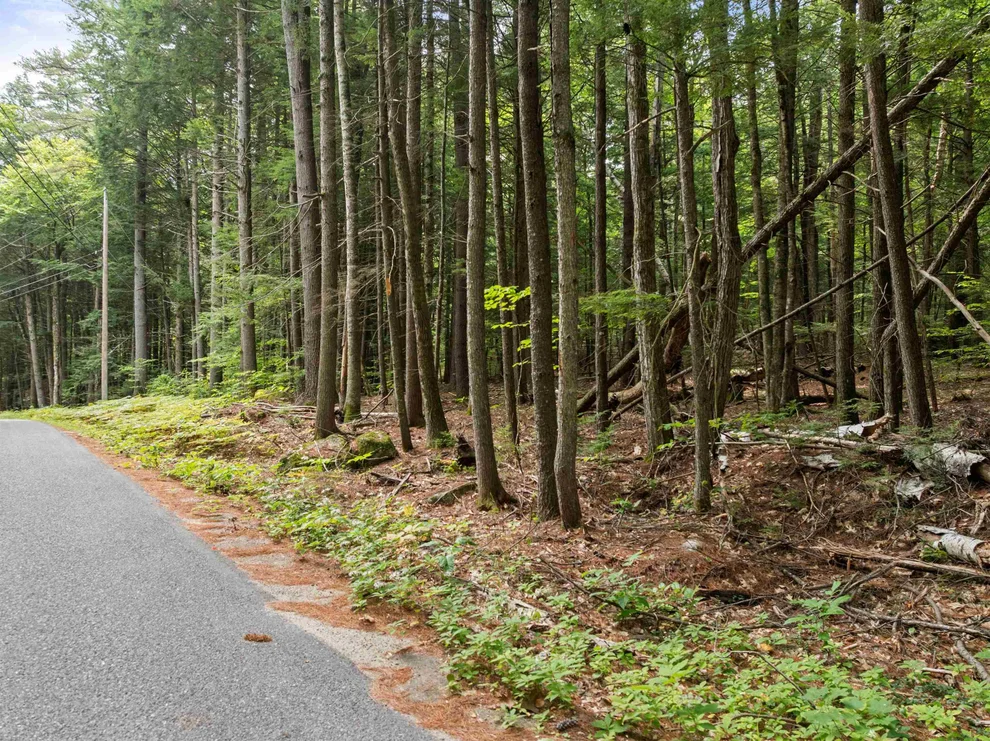 Unit for sale at 30 D Forest Pond, New Hampton, NH 03256