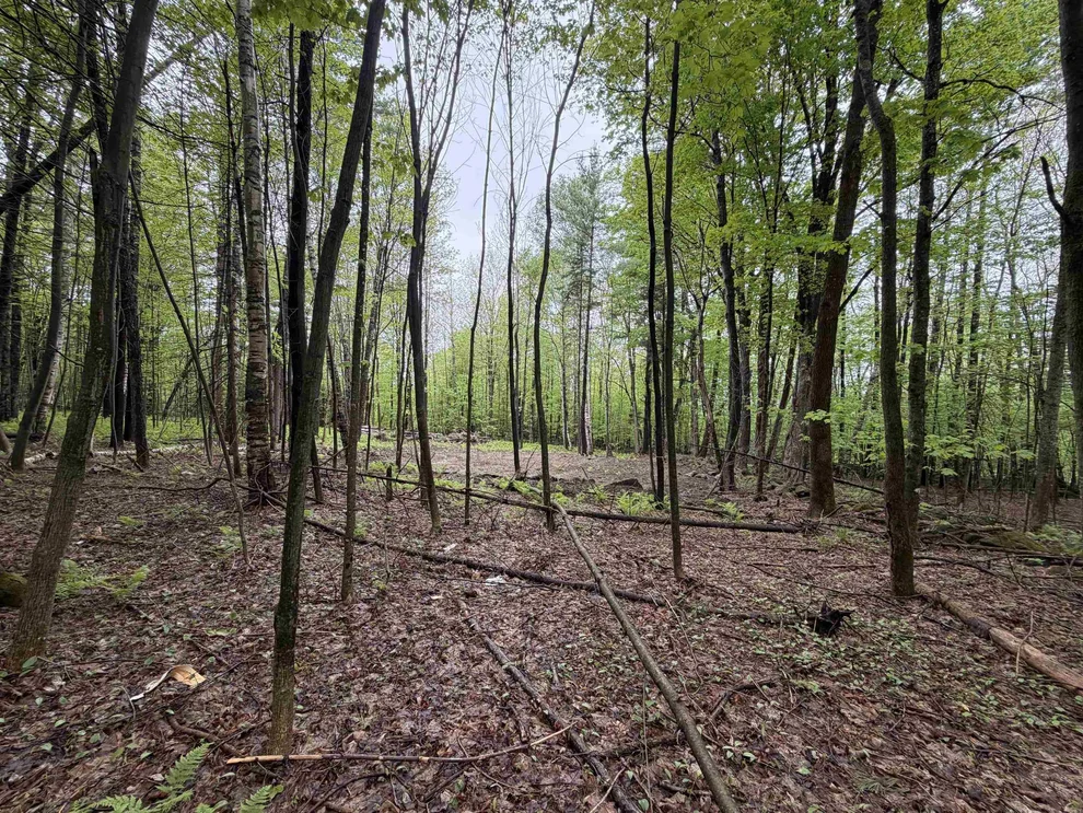 Unit for sale at 114 Lewis Hill, Bethlehem, NH 03574