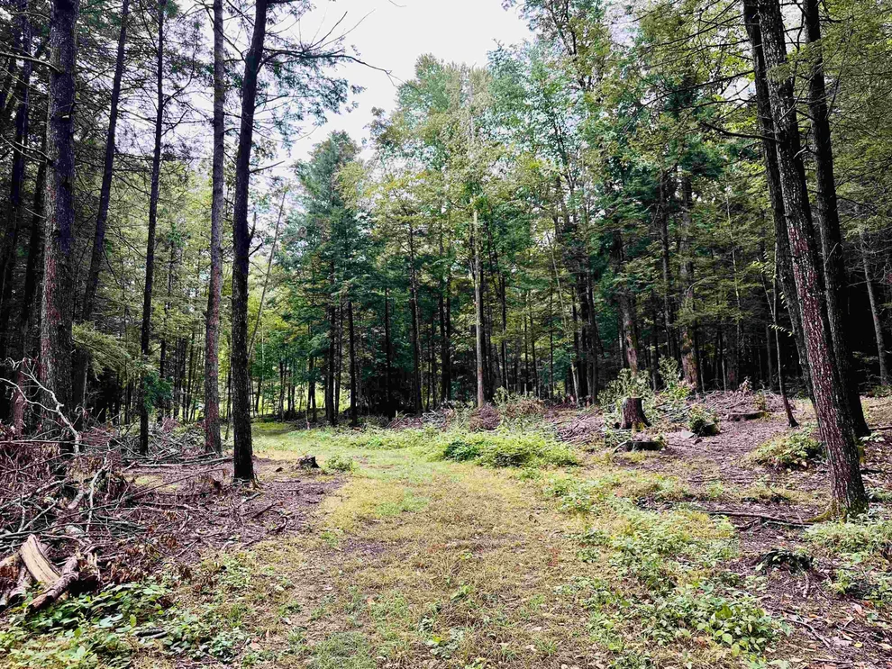 Unit for sale at 0 Marlboro, Brattleboro, VT 05301