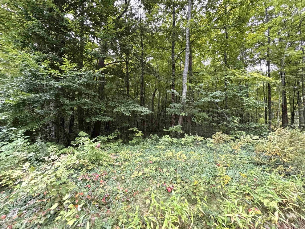 Unit for sale at 0 Warner, Salisbury, NH 03268