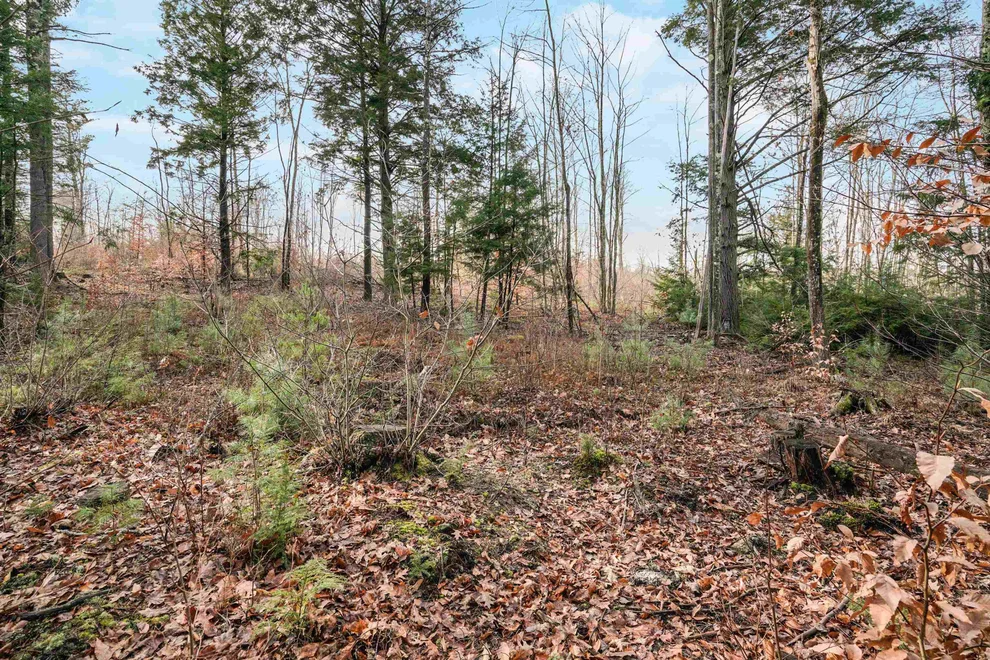 Unit for sale at 0 Merrill, Candia, NH 03034