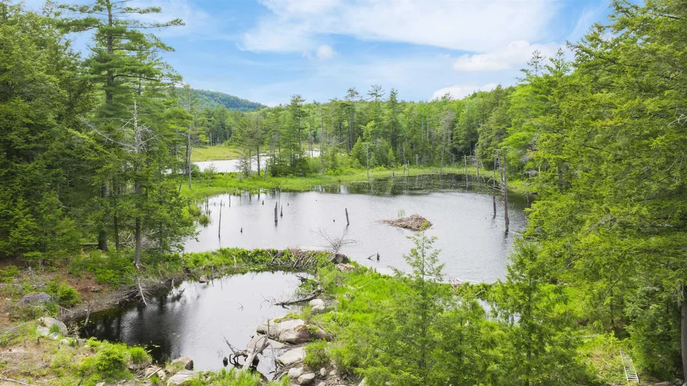 Unit for sale at 00 Pine Point, New Durham, NH 03855