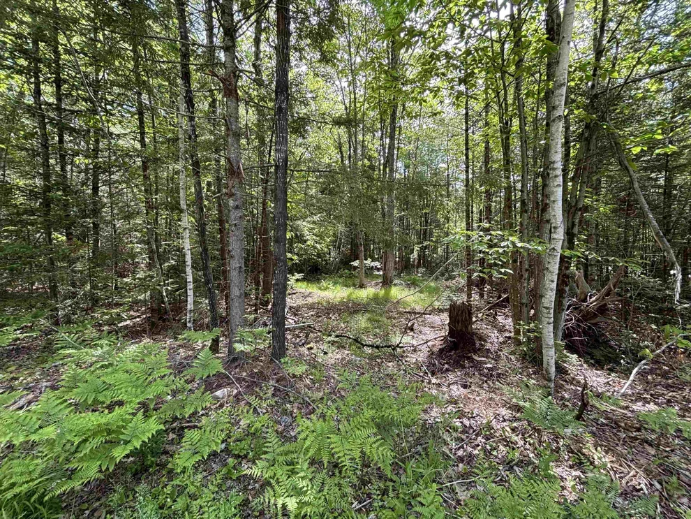 Unit for sale at 37446 North Shore/Washington, Barnstead, NH 03225