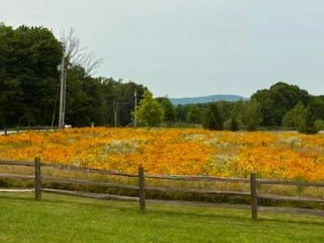 Unit for sale at 744 Ashby, New Ipswich, NH 03071
