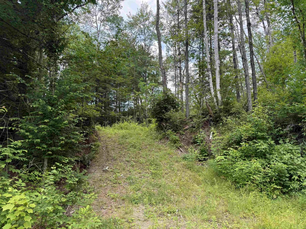 Unit for sale at Lot 5 VT Route 102, Guildhall, VT 05905