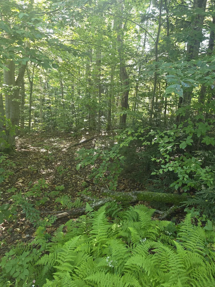 Unit for sale at 00 Allard Farm Circuit, Conway, NH 03860