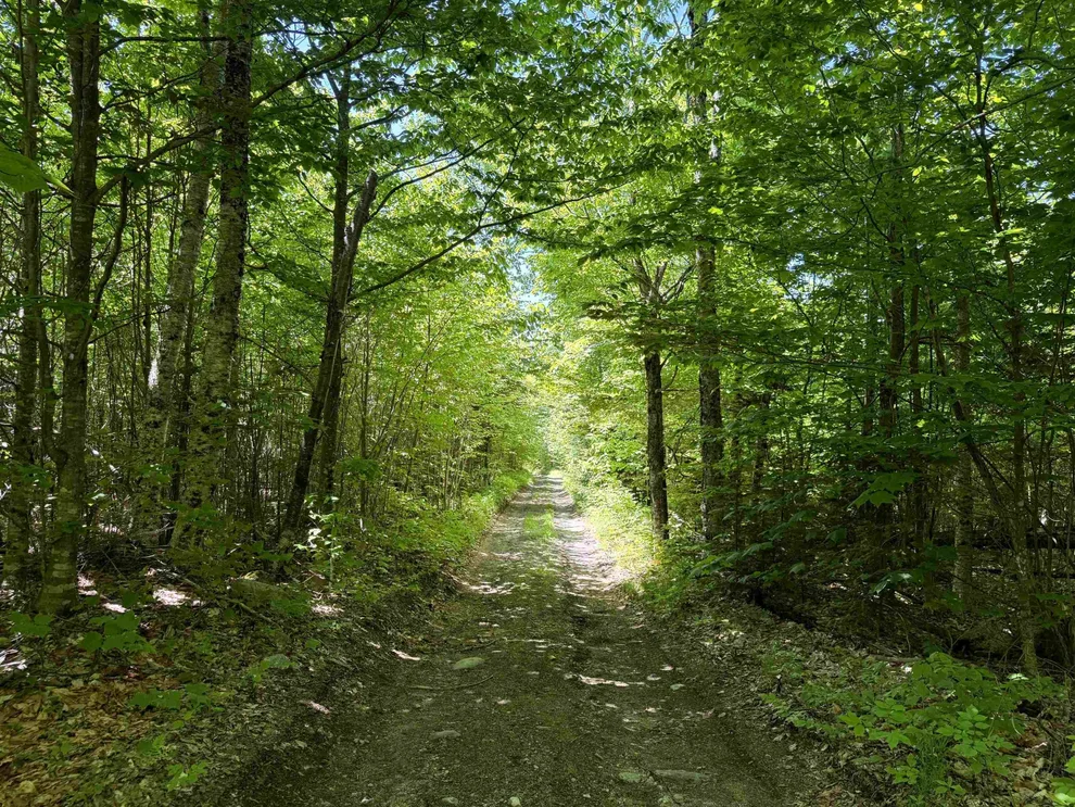 Unit for sale at 0 Georges, East Haven, VT 05837