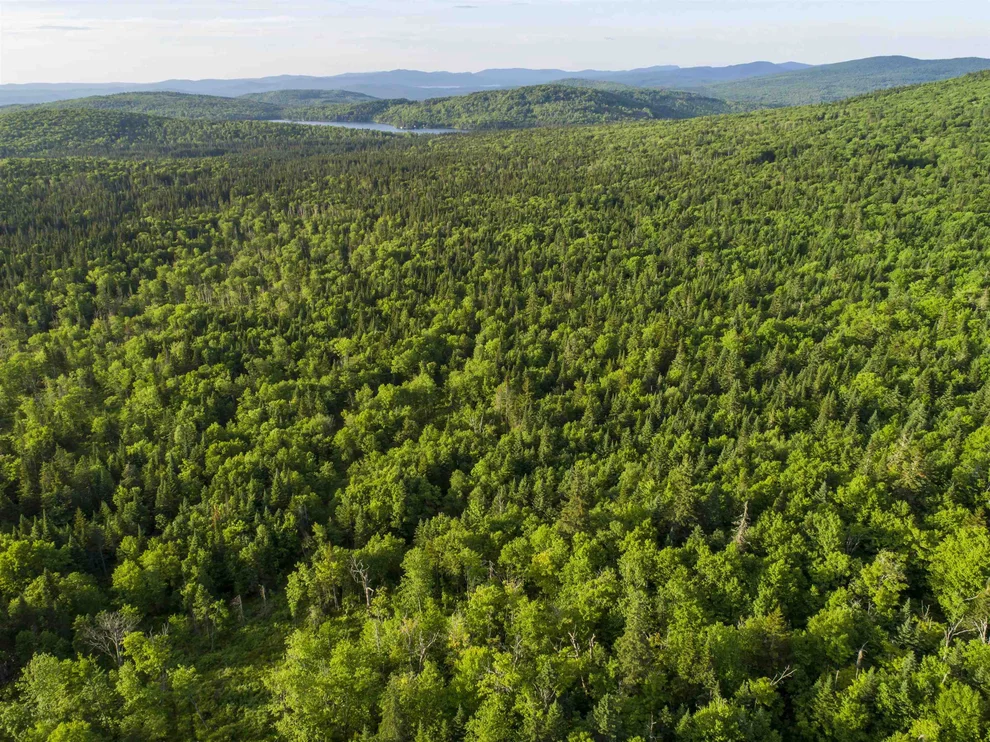 Unit for sale at 8 Diamond Pond, Stewartstown, NH 03576