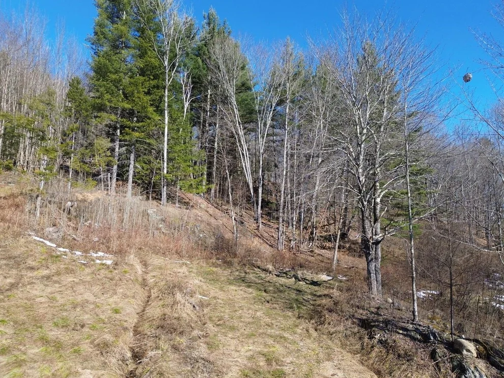 Unit for sale at 00 Bent Birch, Warren, VT 05674