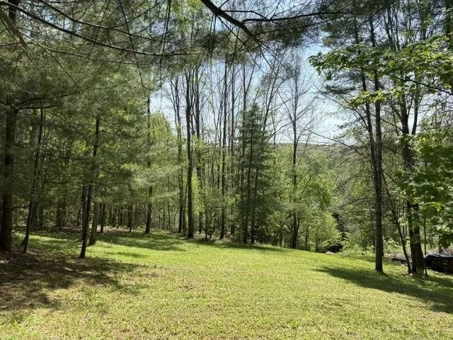 Unit for sale at 0 Gold Coast, Bridgewater, VT 05034