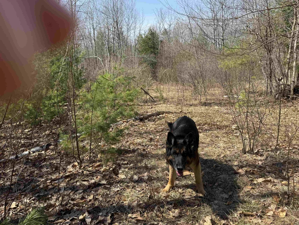 Unit for sale at 0 White Mountain, Wakefield, NH 03872