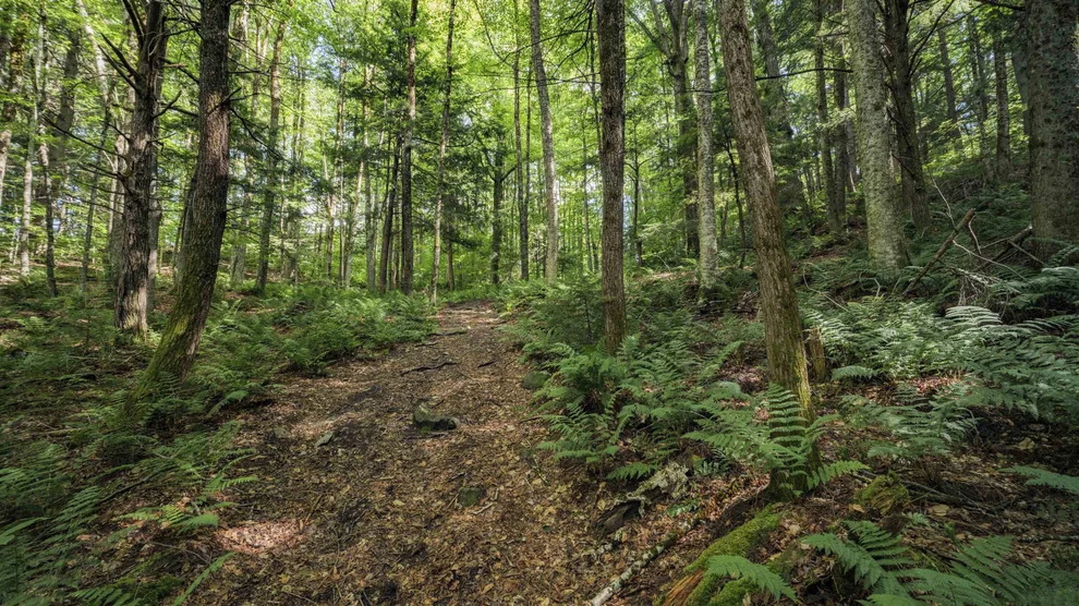 Unit for sale at 00 Ryder Pond, Whitingham, VT 05361