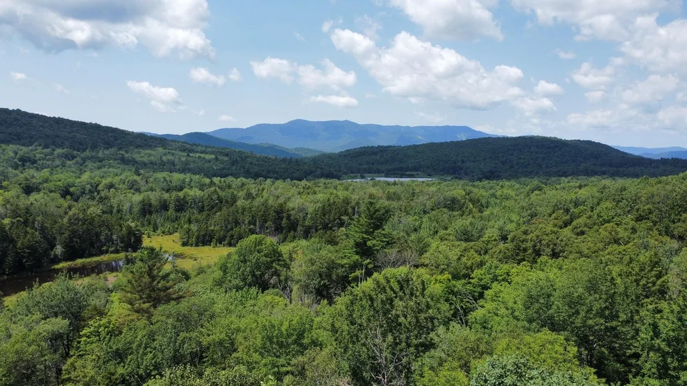 Unit for sale at 00-1 Prickly Mountain, Warren, VT 05674