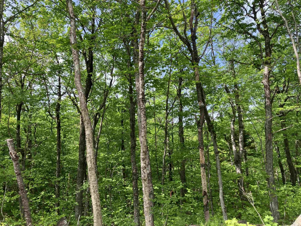 Unit for sale at 404 Fox Mt, Wilmington, VT 05356