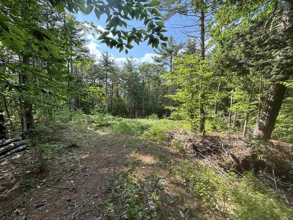 Unit for sale at 00 Davis Hill, Conway, NH 03813