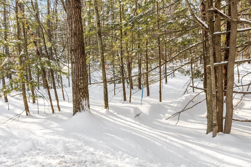 Unit for sale at 0-2 Kendall Hill, Mont Vernon, NH 03057
