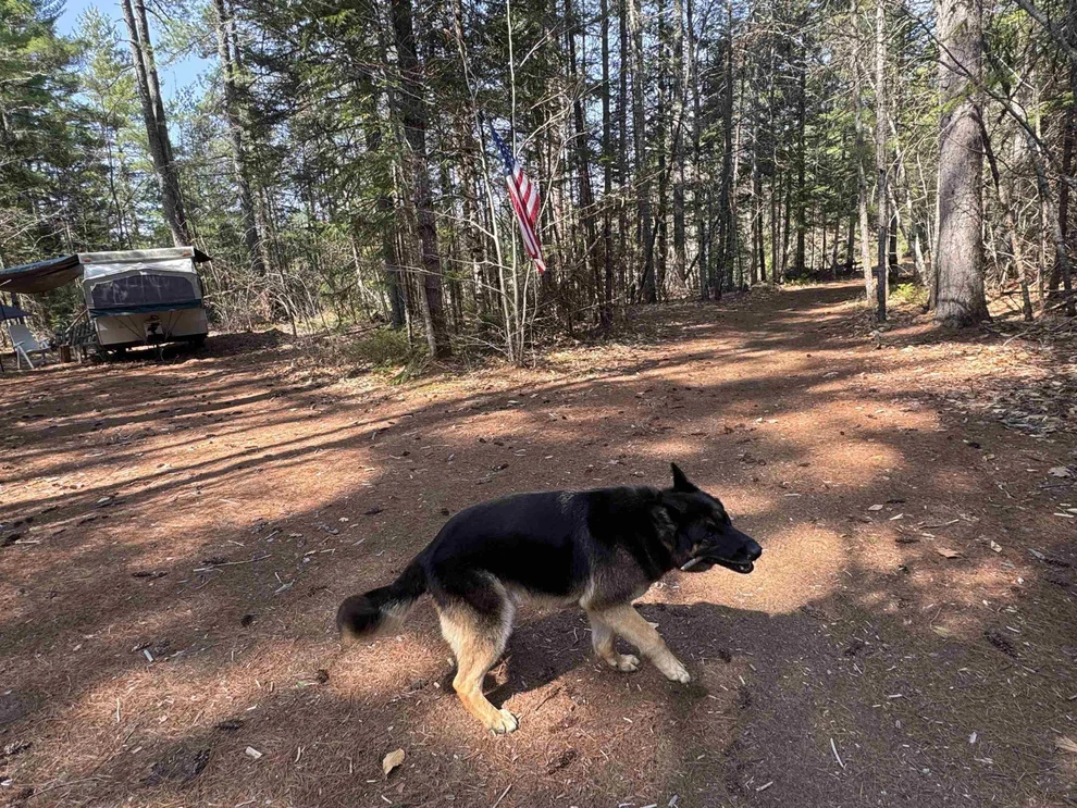 Unit for sale at 00 Province Lake, Effingham, NH 03882