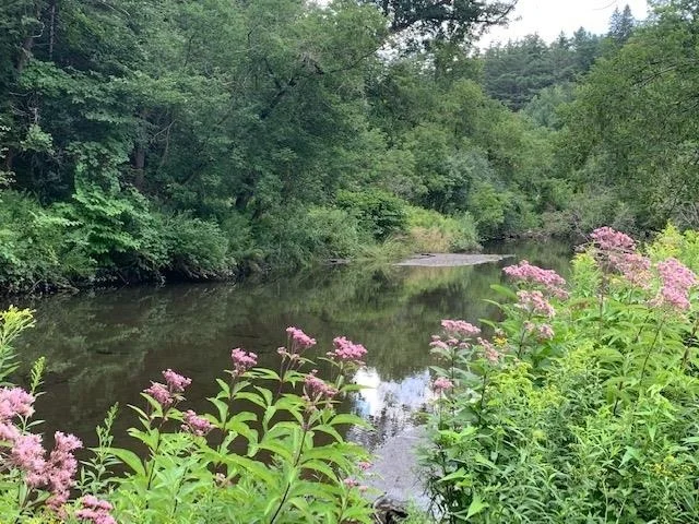 Unit for sale at 0 Barnard, Woodstock, VT 05091