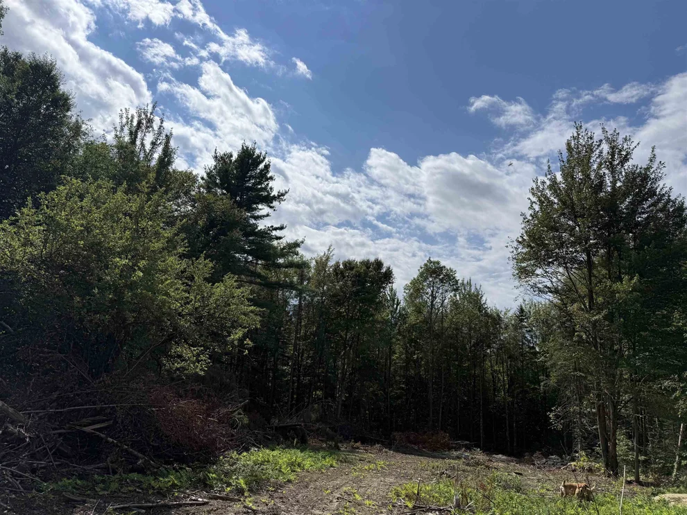 Unit for sale at 1103 North, Eden, VT 05652