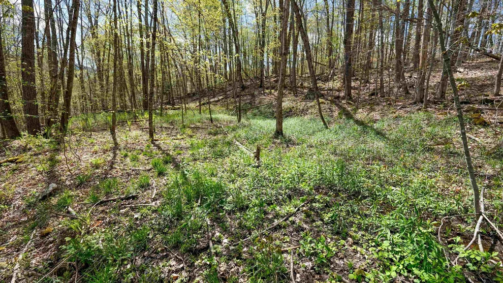 Unit for sale at 269 Hawkins, Wallingford, VT 05773