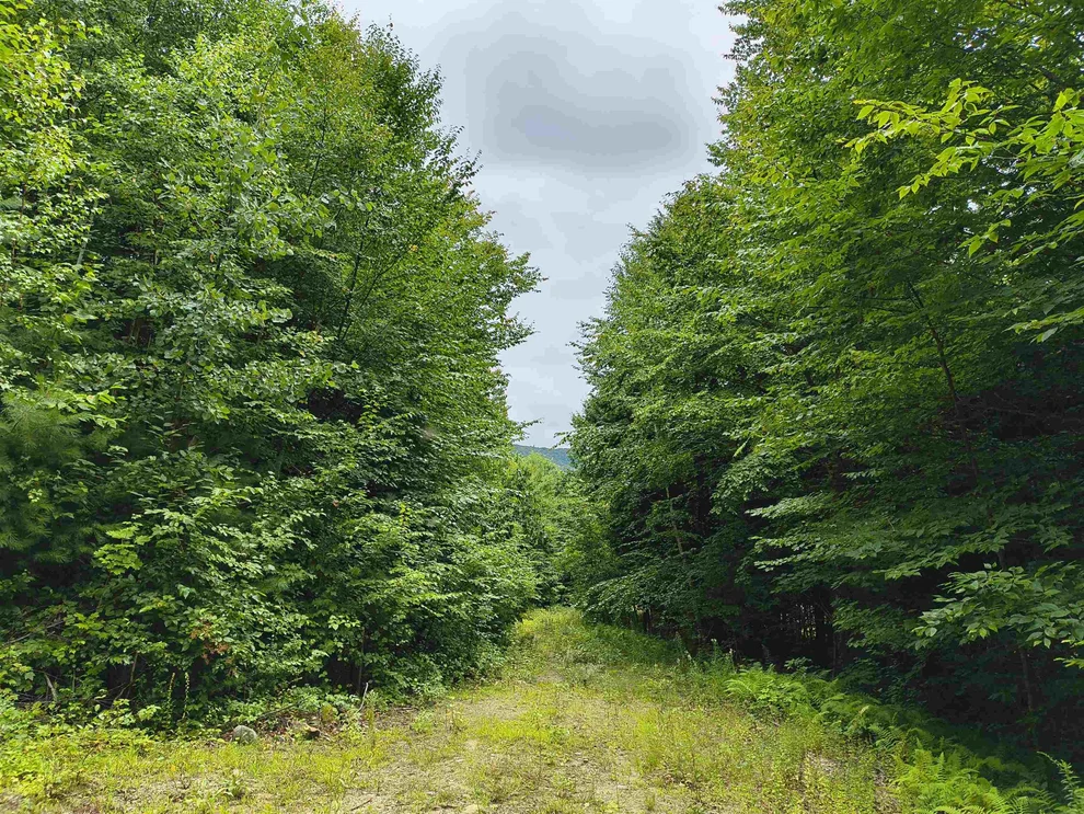 Unit for sale at Lot #5 Cilley Brook, Hebron, NH 03241