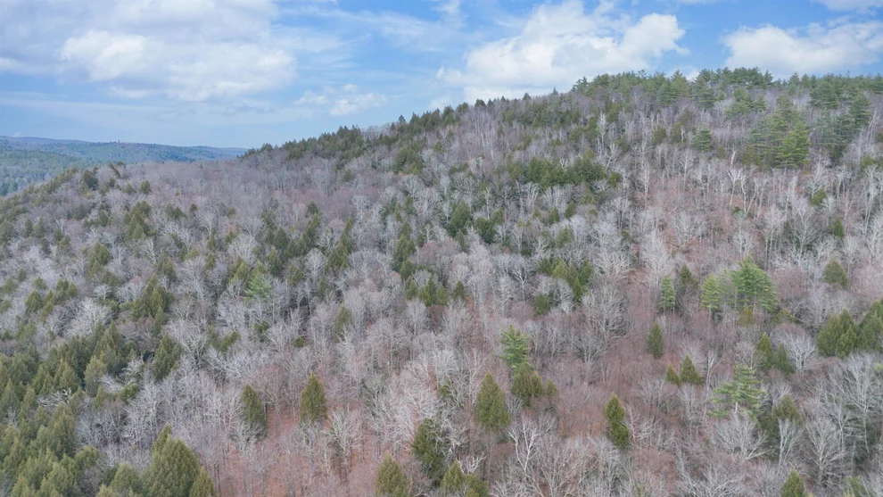 Unit for sale at 00 Route 100, Jamaica, VT 05343