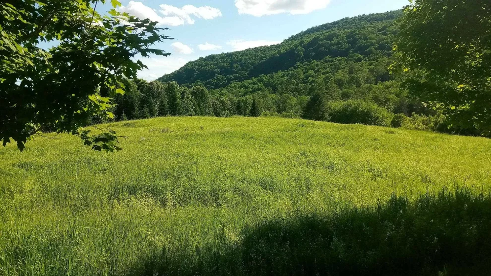 Unit for sale at Lot B Windmill, Williamstown, VT 05679