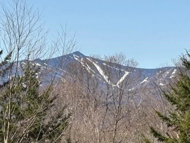 Unit for sale at 0 Walker Hill, Bridgewater, VT 05034