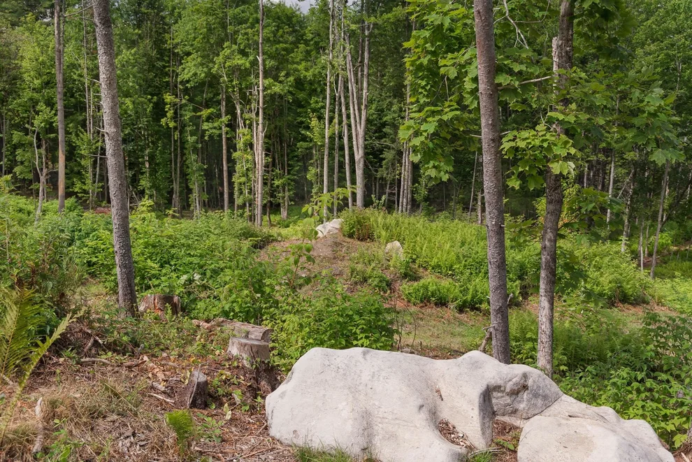 Unit for sale at 249 Weber Brook, Craftsbury, VT 05826