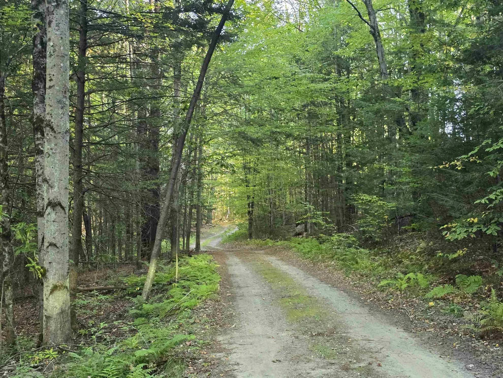 Unit for sale at 0 Thayer, Westminster, VT 05158