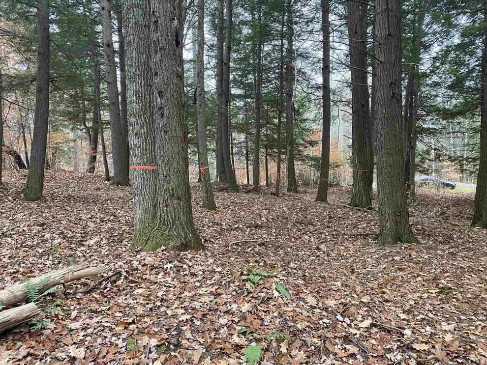 Unit for sale at 890 Baker Turn, Hartford, VT 05059