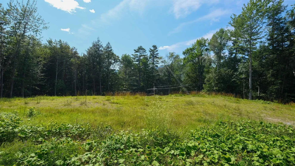 Unit for sale at 228 Town Farm, Ludlow, VT 05149