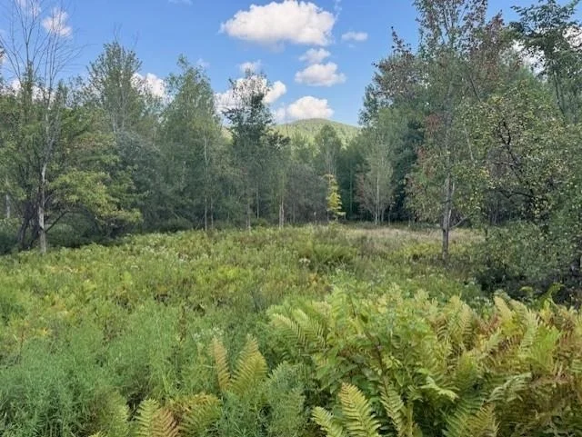 Unit for sale at 00 Westhill, Montgomery, VT 05470