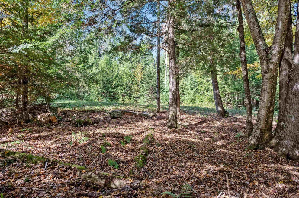 Unit for sale at 442 VT Route 12, Middlesex, VT 05602